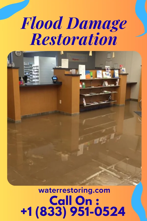 Flood Damage Restoration in Gananda, NY