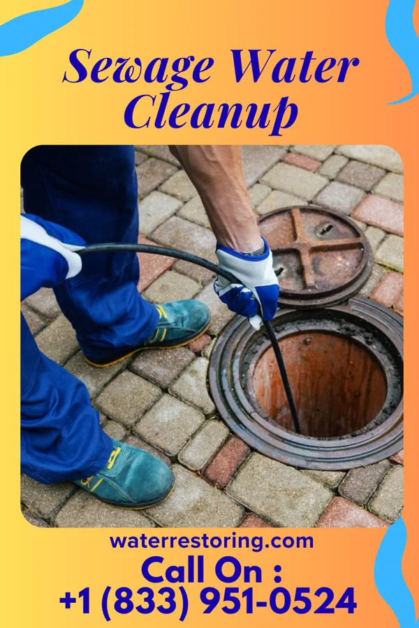 Sewage Water Cleanup in Gananda, NY